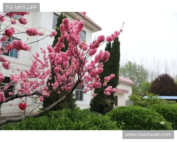 开云官方注册步骤详细介绍确保顺利完成账号创建 开云官方注册步骤详细介绍确保顺利完成账号创建