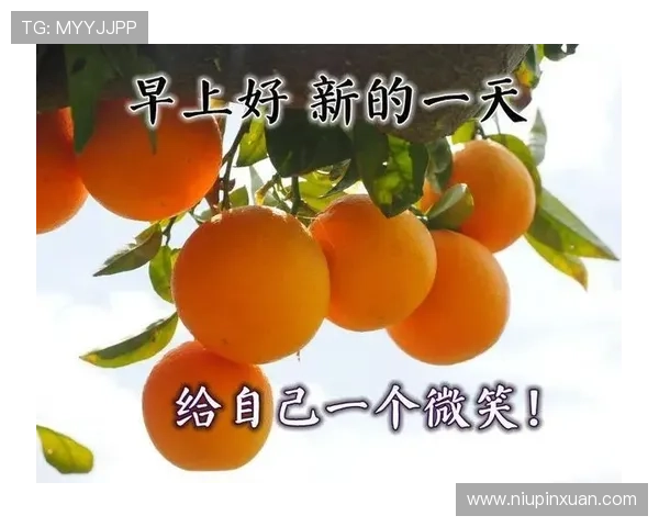 开运体育官网app助你把握每一天的好运气，迎接更加美好的未来