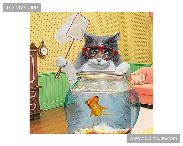 如何在开运官方旗舰店选购适合自己的开运吉祥物与风水摆件