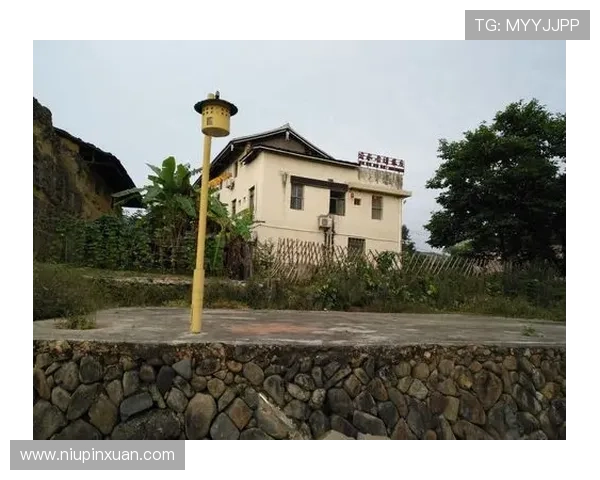 开云综合app官方网站帮助用户解决登录注册常见问题与操作技巧